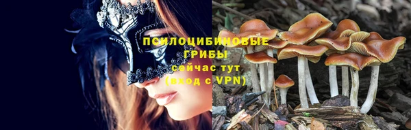 ГАЛЛЮЦИНОГЕННЫЕ ГРИБЫ Беломорск