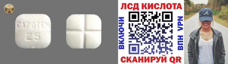 наркотики  даркнет клад  ЛСД экстази ecstasy  Плёс 