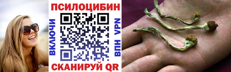 Галлюциногенные грибы Cubensis  Плёс 